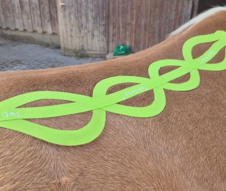 c63ad795-76f5-4ff6-a6d4-0e5c5927b875